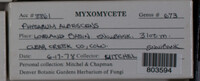 Image Associated With the Occurence